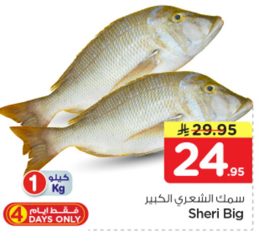 available at نستو in مملكة العربية السعودية, السعودية, سعودية - الرياض