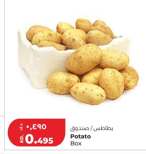 Potato available at Lulu Hypermarket  in Kuwait - Kuwait City