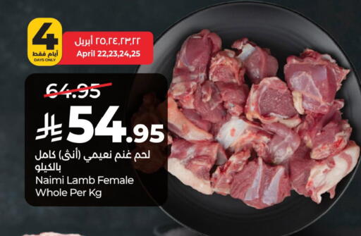 available at لولو هايبرماركت in مملكة العربية السعودية, السعودية, سعودية - المنطقة الشرقية