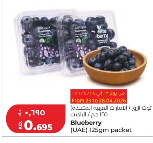 Blueberry BlueBerry available at لولو هايبر ماركت in الكويت - محافظة الجهراء