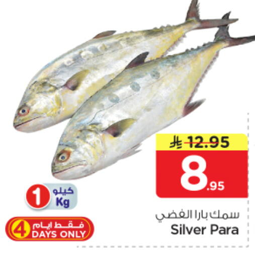 available at نستو in مملكة العربية السعودية, السعودية, سعودية - الرياض