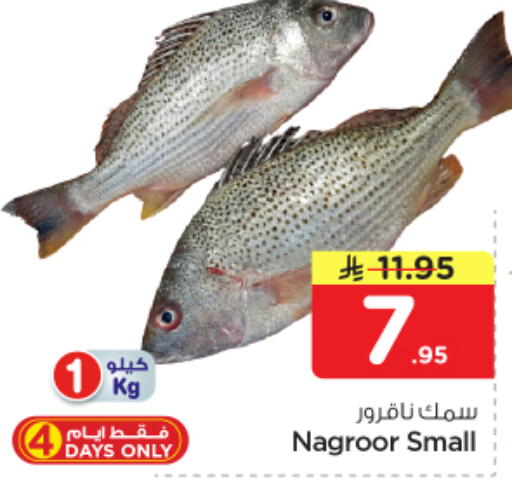 available at نستو in مملكة العربية السعودية, السعودية, سعودية - الرياض