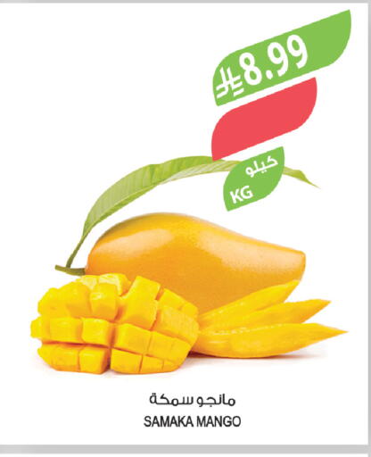 Mango available at المزرعة in مملكة العربية السعودية, السعودية, سعودية - جازان