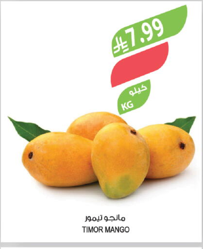 Mango available at المزرعة in مملكة العربية السعودية, السعودية, سعودية - جازان