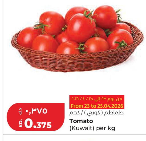 Tomato from Kuwait available at لولو هايبر ماركت in الكويت - محافظة الجهراء