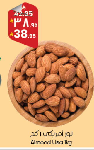 available at ستي فلاور in مملكة العربية السعودية, السعودية, سعودية - سكاكا