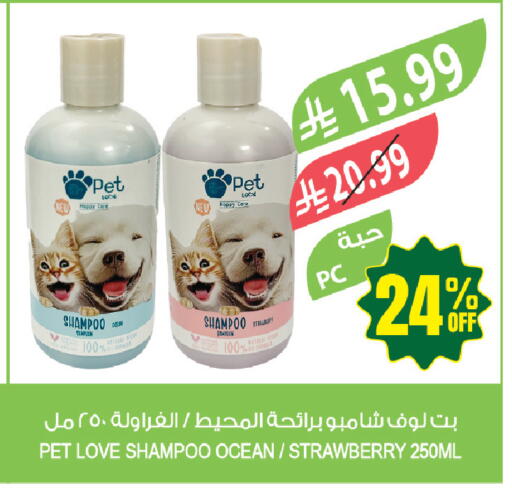 Strawberry available at المزرعة in مملكة العربية السعودية, السعودية, سعودية - جازان