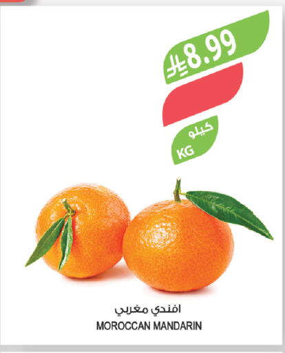 Mandarin from Morocco available at المزرعة in مملكة العربية السعودية, السعودية, سعودية - جازان