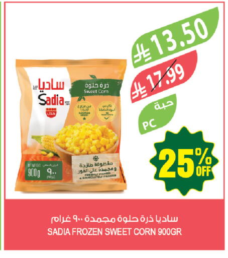available at المزرعة in مملكة العربية السعودية, السعودية, سعودية - أبها