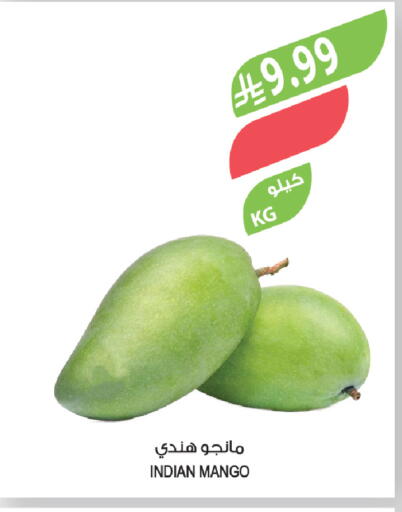 Mango from India available at المزرعة in مملكة العربية السعودية, السعودية, سعودية - جازان