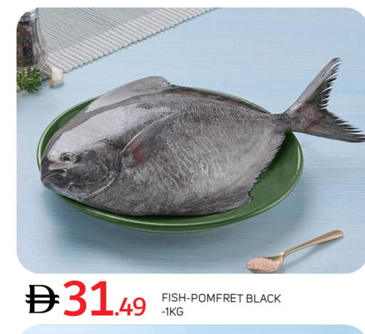 available at سوق طلال in الإمارات العربية المتحدة , الامارات - أبو ظبي