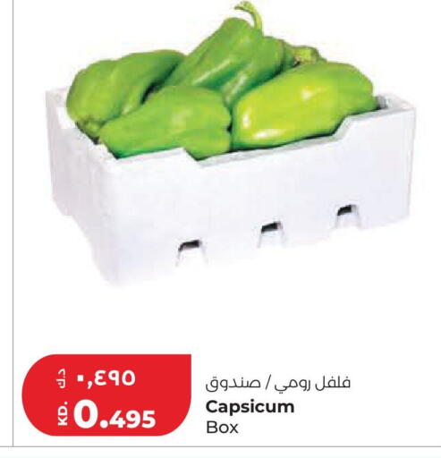 Capsicum available at لولو هايبر ماركت in الكويت - محافظة الجهراء