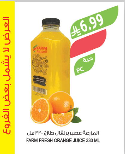 Orange available at Farm  in KSA, Saudi Arabia, Saudi - Jazan