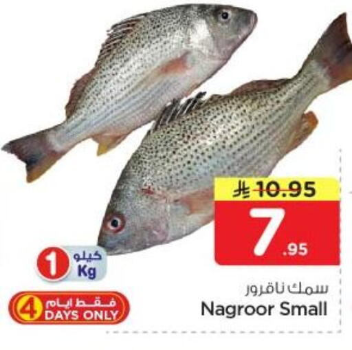 available at نستو in مملكة العربية السعودية, السعودية, سعودية - الرياض