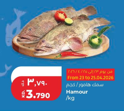 available at لولو هايبر ماركت in الكويت - محافظة الجهراء