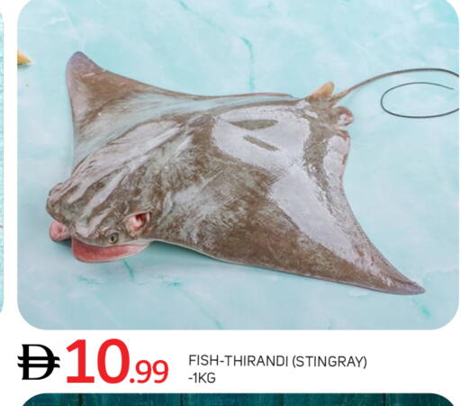 available at TALAL MARKET in UAE - Abu Dhabi