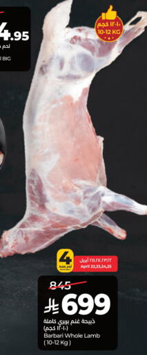 available at لولو هايبرماركت in مملكة العربية السعودية, السعودية, سعودية - المنطقة الشرقية