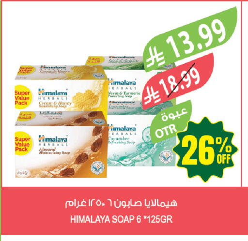 Turmeric Cucumber available at Farm  in KSA, Saudi Arabia, Saudi - Al-Kharj