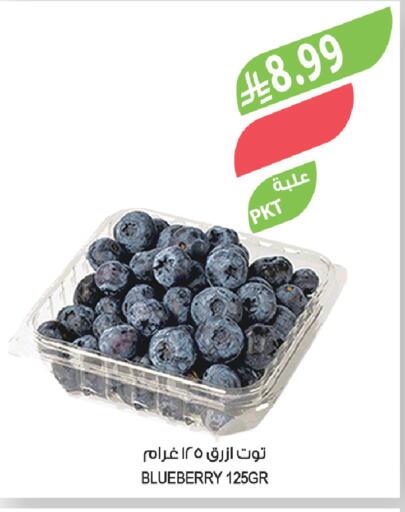 Blueberry BlueBerry available at المزرعة in مملكة العربية السعودية, السعودية, سعودية - جازان