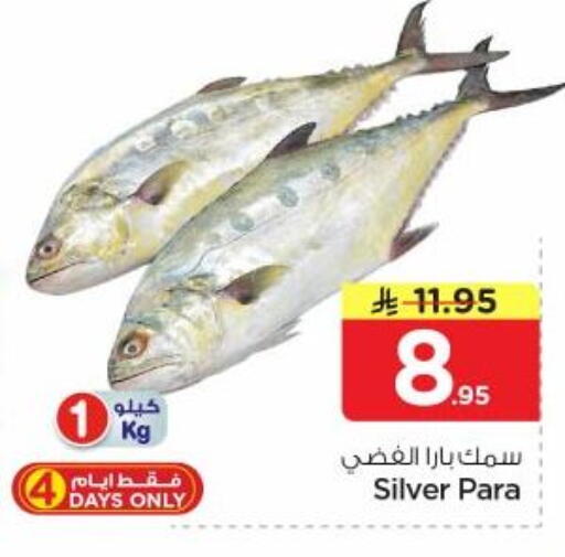 available at نستو in مملكة العربية السعودية, السعودية, سعودية - الرياض