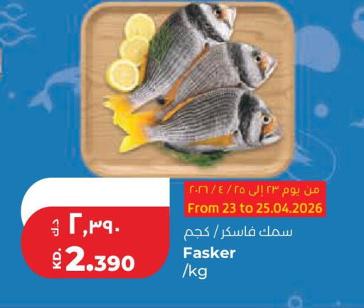 available at لولو هايبر ماركت in الكويت - محافظة الجهراء