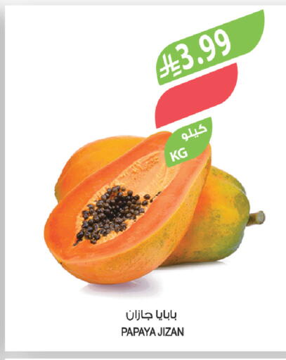 Papaya available at المزرعة in مملكة العربية السعودية, السعودية, سعودية - جازان