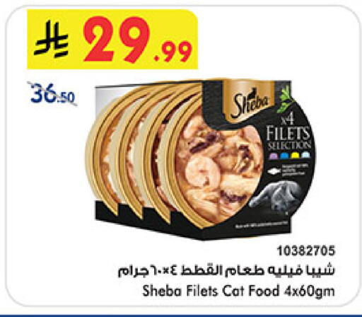 available at بن داود in مملكة العربية السعودية, السعودية, سعودية - مكة المكرمة