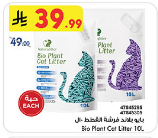 available at بن داود in مملكة العربية السعودية, السعودية, سعودية - مكة المكرمة