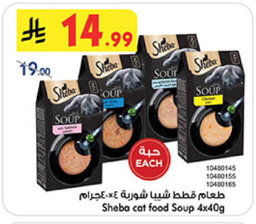 available at بن داود in مملكة العربية السعودية, السعودية, سعودية - مكة المكرمة