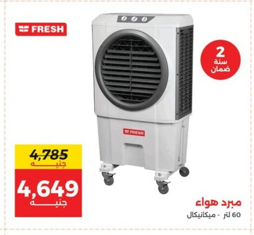 available at Raneen in Egypt - Cairo