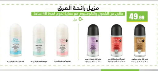 available at El Mahlawy Stores in Egypt - Cairo