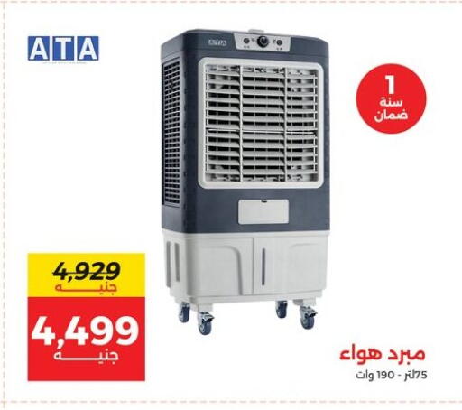 available at Raneen in Egypt - Cairo