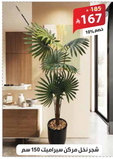 available at الهدايا سنتر in مملكة العربية السعودية, السعودية, سعودية - جدة