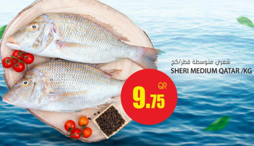 available at Grand Hypermarket in Qatar - Doha