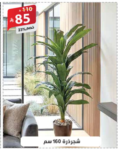 available at الهدايا سنتر in مملكة العربية السعودية, السعودية, سعودية - جدة