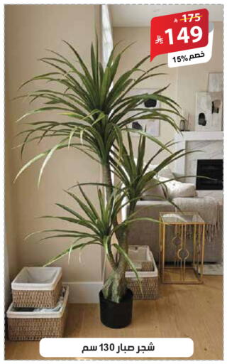 available at الهدايا سنتر in مملكة العربية السعودية, السعودية, سعودية - جدة