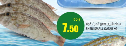 available at Grand Hypermarket in Qatar - Doha