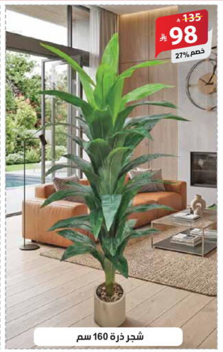 available at الهدايا سنتر in مملكة العربية السعودية, السعودية, سعودية - جدة