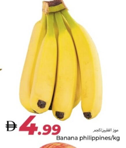 Banana from Philippines available at  روابي ماركت عجمان in الإمارات العربية المتحدة , الامارات - الشارقة / عجمان