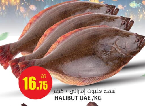 available at جراند هايبرماركت in قطر - أم صلال