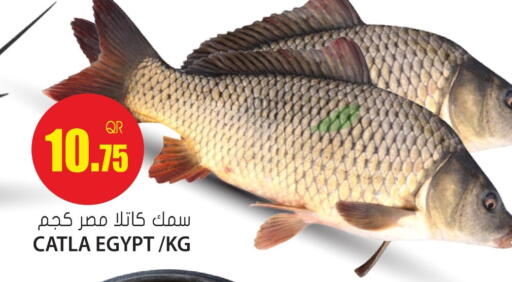 available at جراند هايبرماركت in قطر - أم صلال