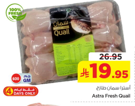 available at نستو in مملكة العربية السعودية, السعودية, سعودية - المجمعة