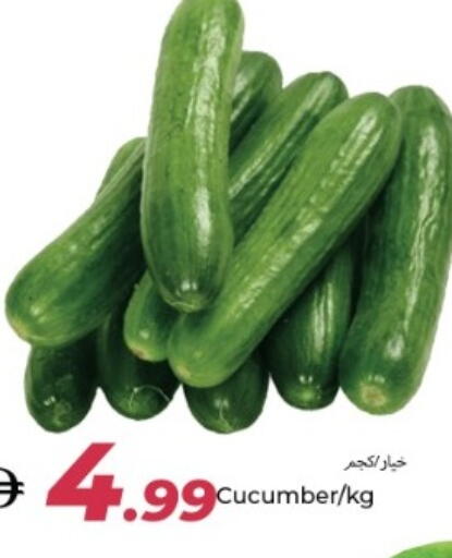Cucumber available at  روابي ماركت عجمان in الإمارات العربية المتحدة , الامارات - الشارقة / عجمان