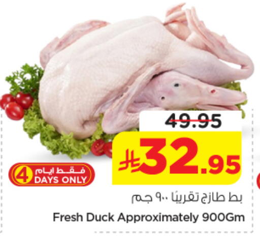 available at نستو in مملكة العربية السعودية, السعودية, سعودية - المجمعة