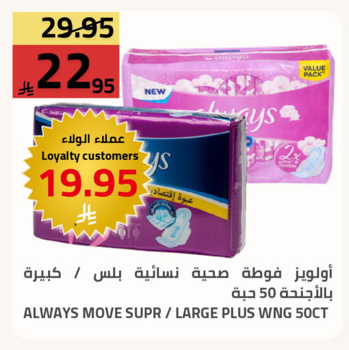 available at أسواق أسترا in مملكة العربية السعودية, السعودية, سعودية - تبوك