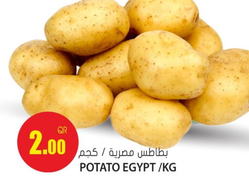 Potato from Egypt available at جراند هايبرماركت in قطر - أم صلال