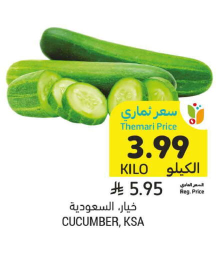 Cucumber available at أسواق التميمي in مملكة العربية السعودية, السعودية, سعودية - الخبر‎