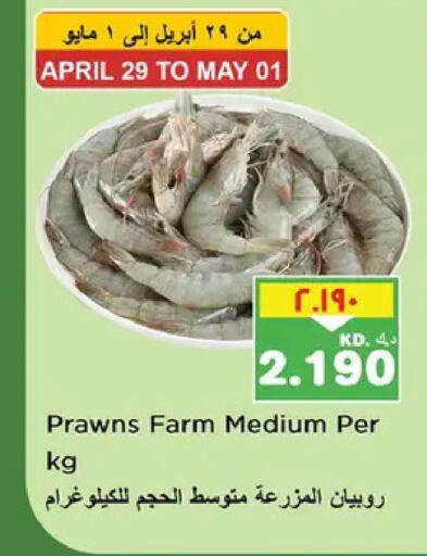 available at نستو هايبر ماركت in الكويت - مدينة الكويت