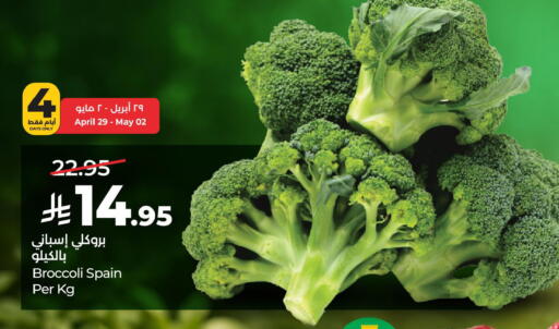 Broccoli from Spain available at لولو هايبرماركت in مملكة العربية السعودية, السعودية, سعودية - حفر الباطن
