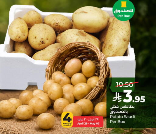Potato from Saudi Arabia available at لولو هايبرماركت in مملكة العربية السعودية, السعودية, سعودية - حفر الباطن